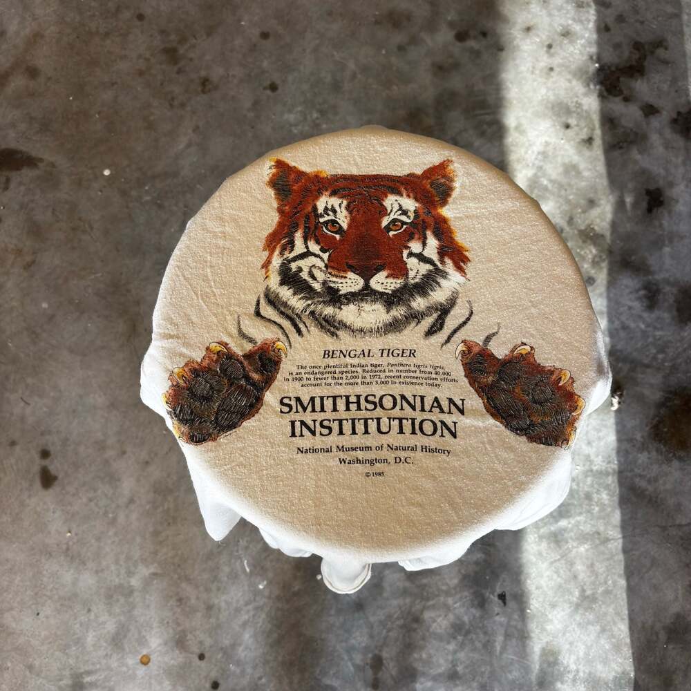 Vintage 1985 Smithsonian Institution Bengal Tiger T-Shirt